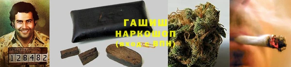стафф Хадыженск