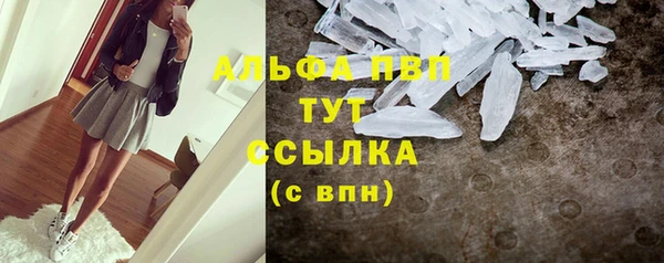 стафф Хадыженск