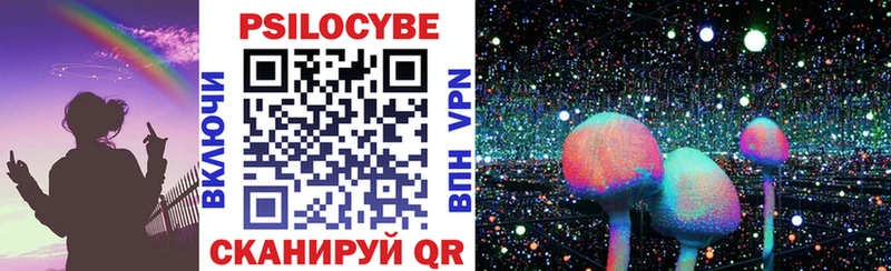 где купить наркотик  Шебекино  Псилоцибиновые грибы GOLDEN TEACHER 