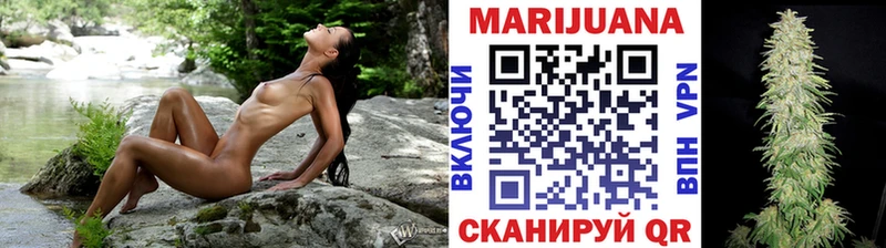 Канабис OG Kush Шебекино